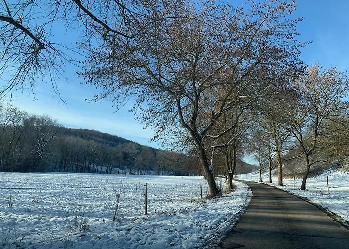 Vakantiehuis Gemuetliches Einfamilienhaus In Mit 3 Schlafzimmern Mit Garten Und Parkplatz Gera